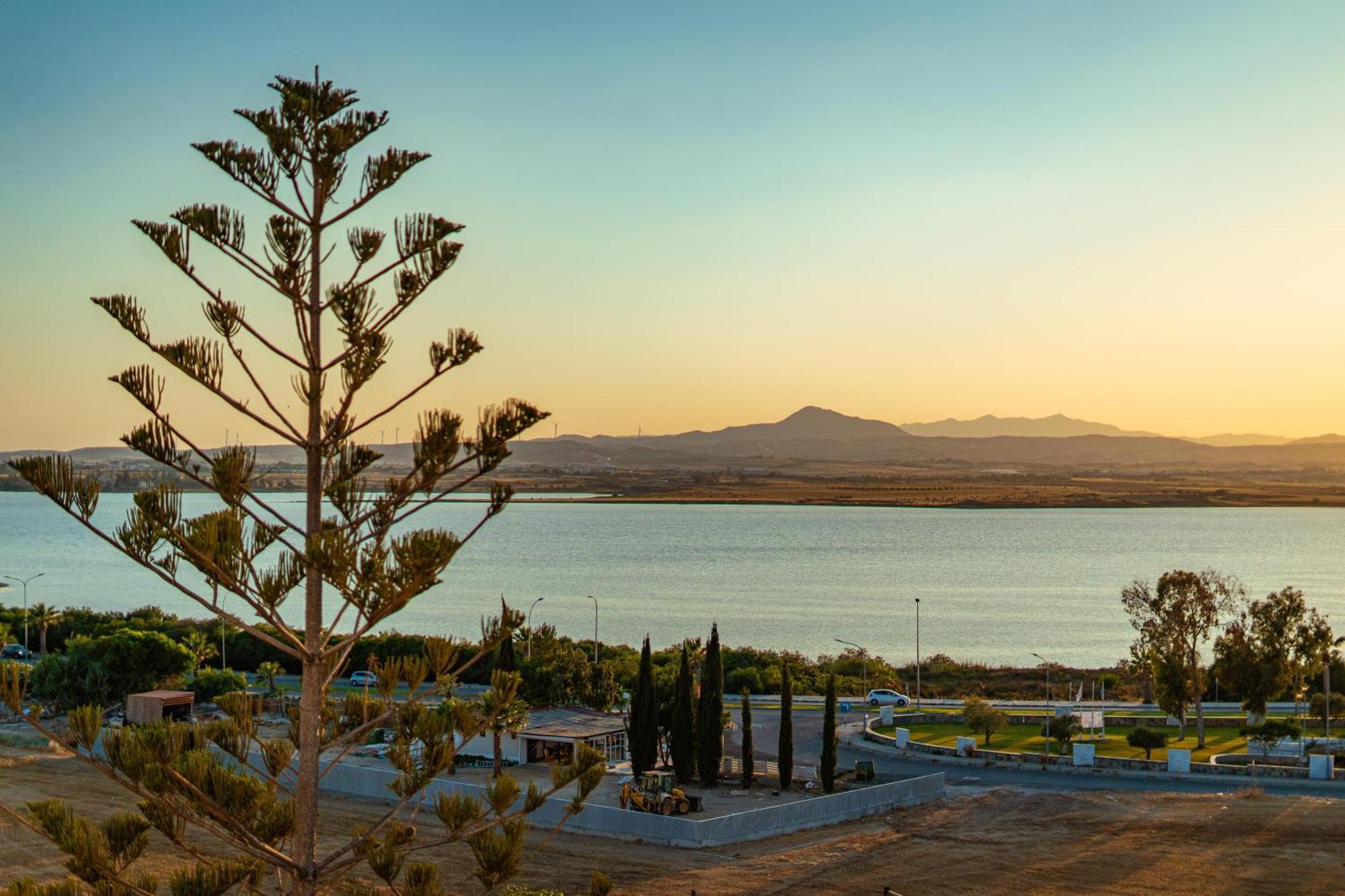 Majestic Sunset Salt Lake Views 300M From Beach Apartment Larnaca Exterior foto